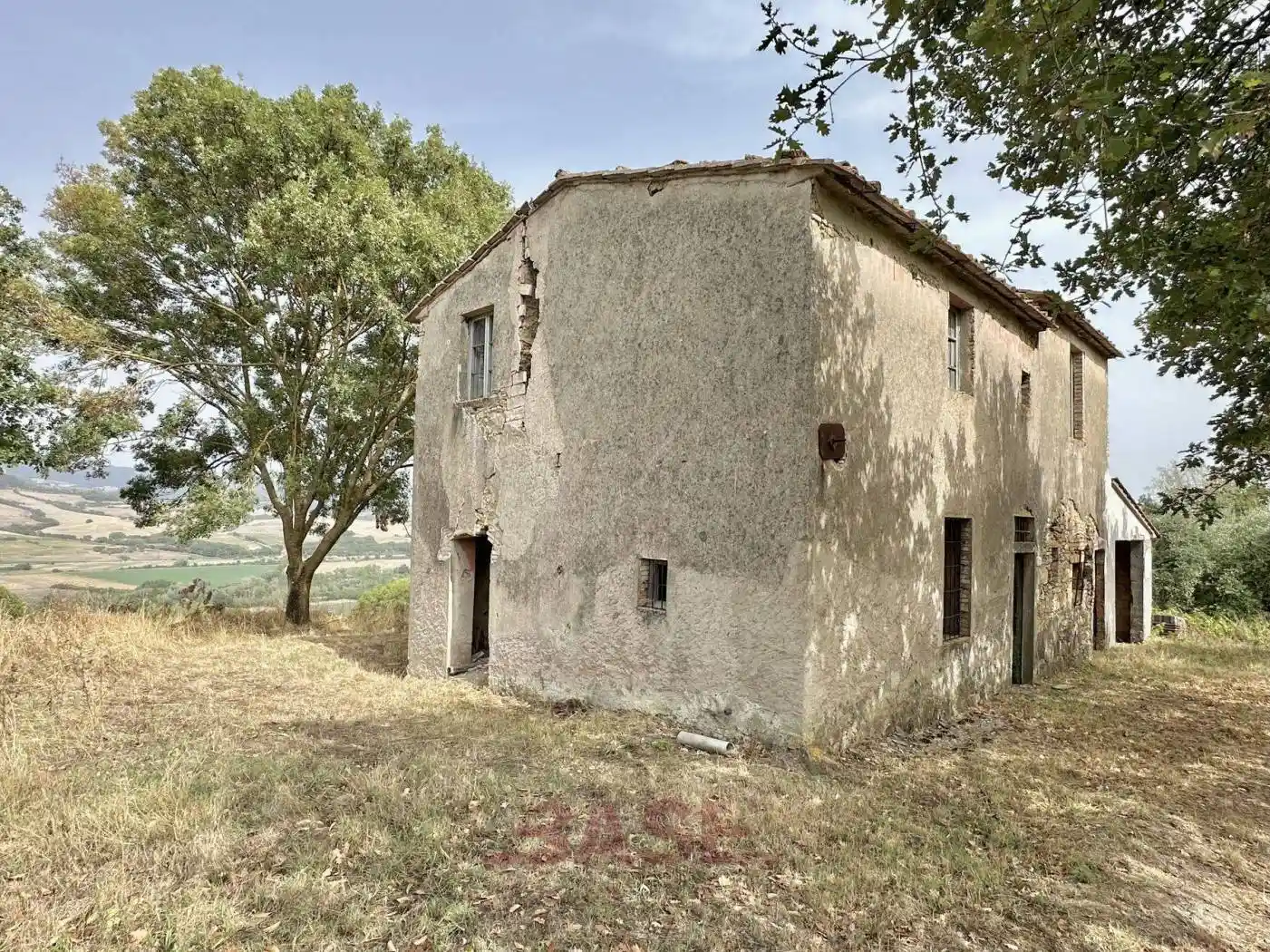 Rustico - Casale in vendita a Montescudaio