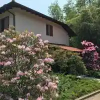 Appartamento in affitto a Laveno-Mombello