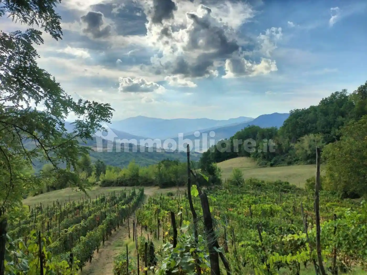 Rustico - Casale in vendita a Travo