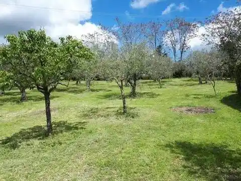 Villa in vendita a San Casciano in Val di Pesa