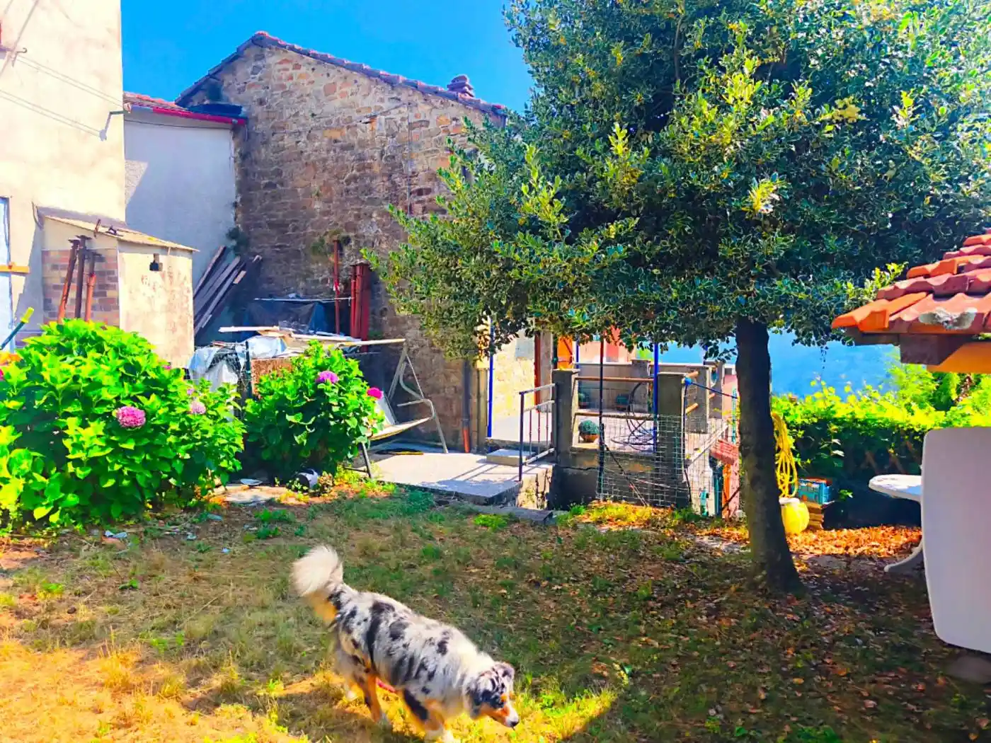 Casa indipendente in vendita a Borzonasca
