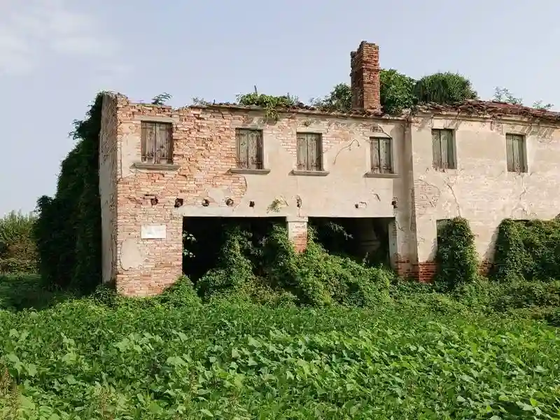 Rustico - Casale - foto 5