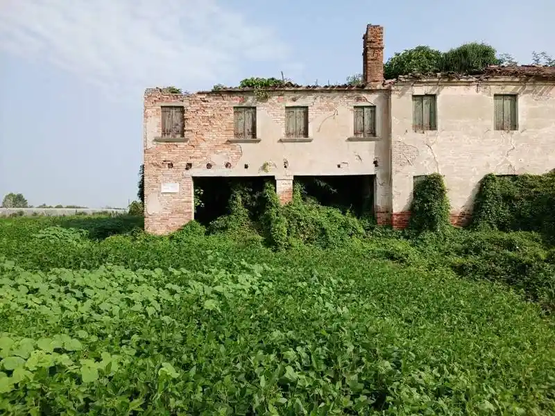 Rustico - Casale in vendita a Camponogara
