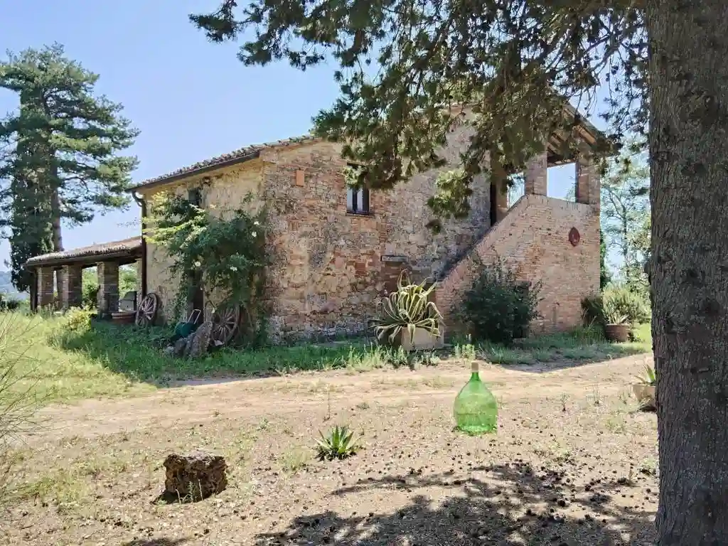 Rustico - Casale - foto 5