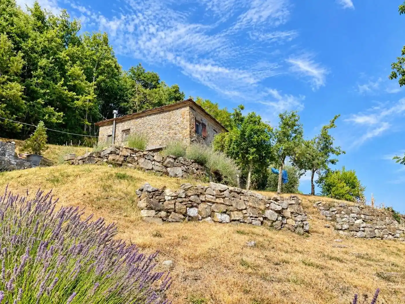 Rustico - Casale in vendita a Zignago