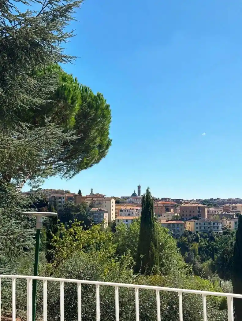 Appartamento in affitto a Siena