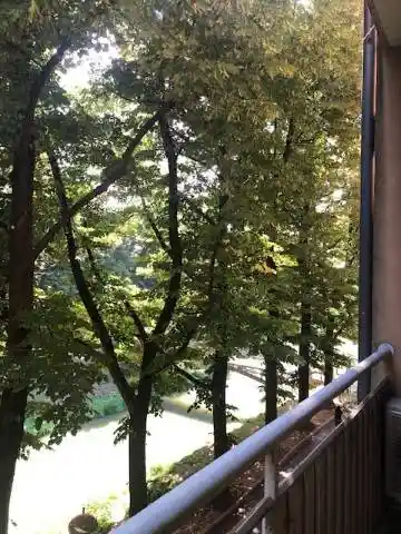Appartamento in vendita a Padova