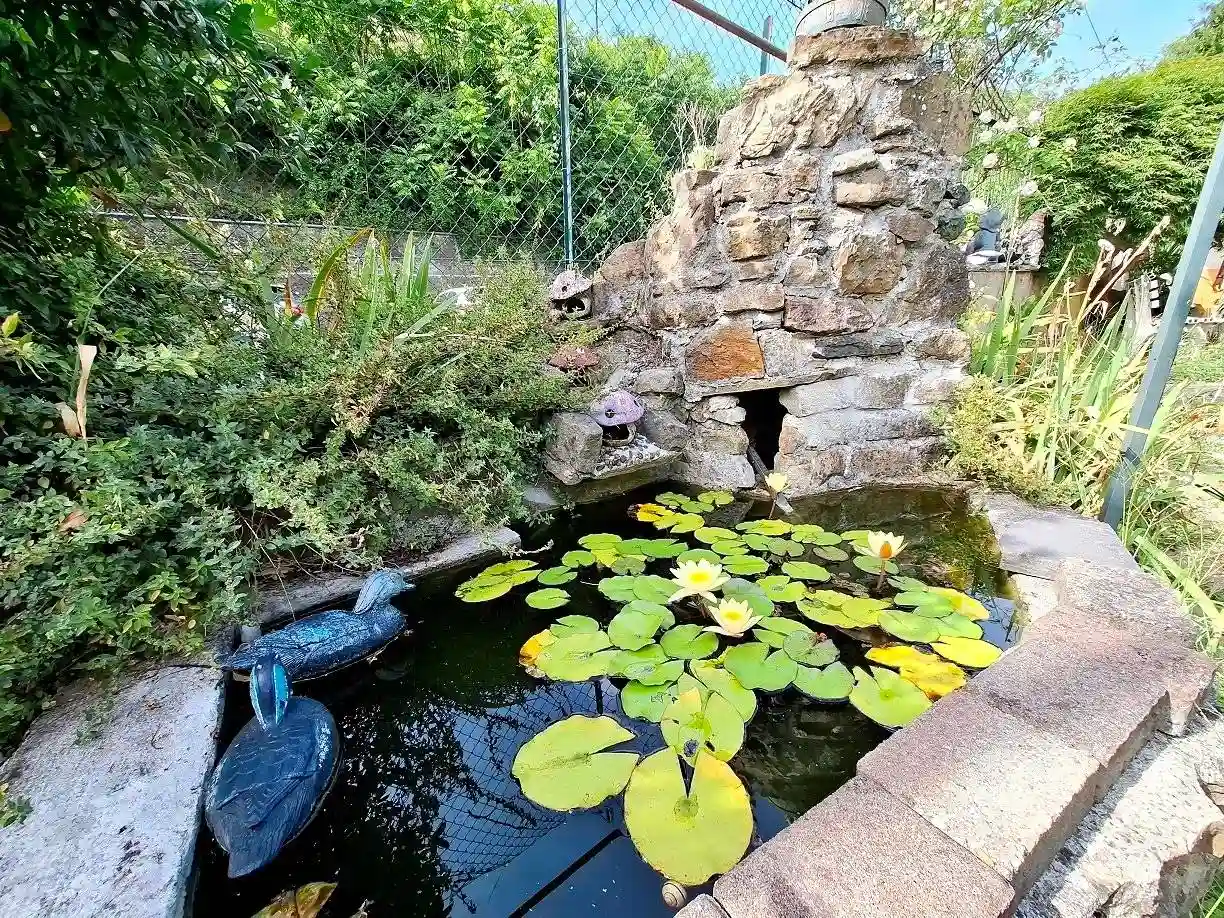 Casa indipendente - foto 3