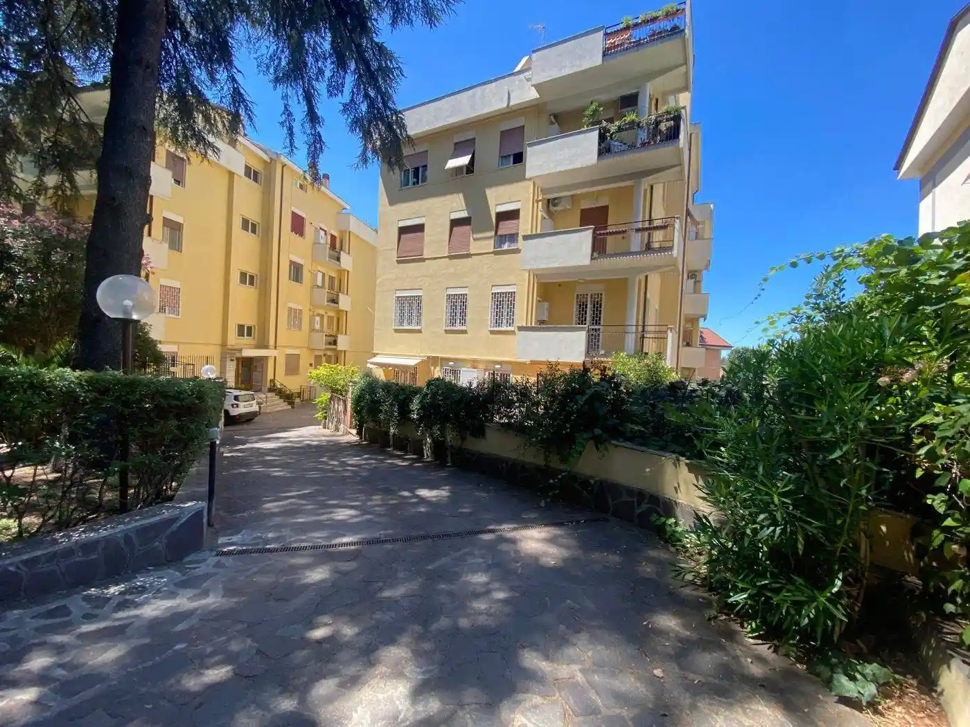 Appartamento in affitto a Grottaferrata