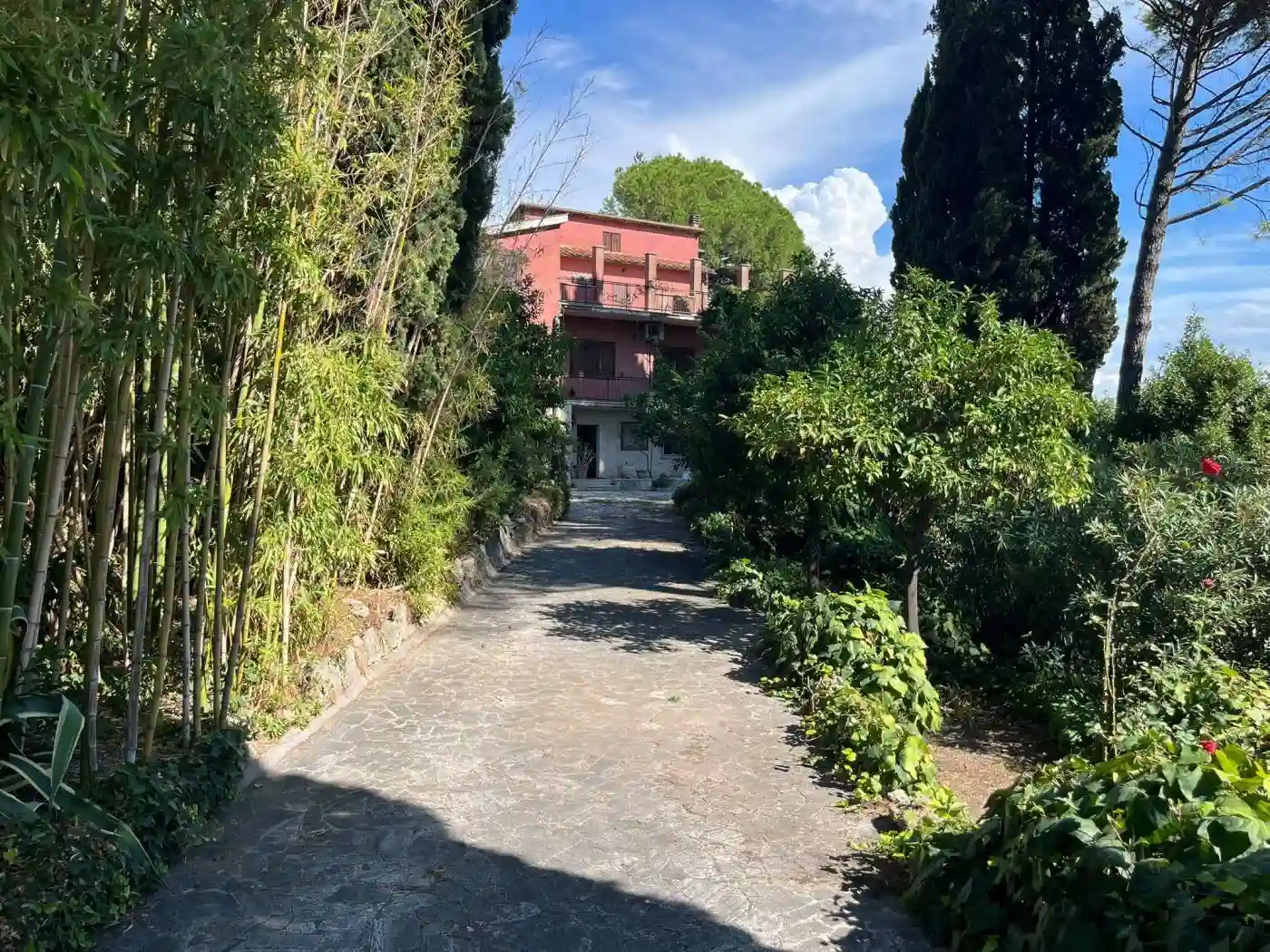 Villa - foto 2