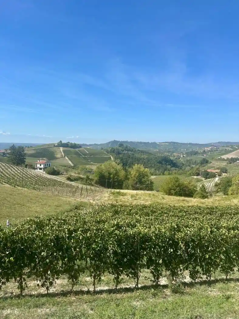 Appartamento in affitto a Monforte d'Alba