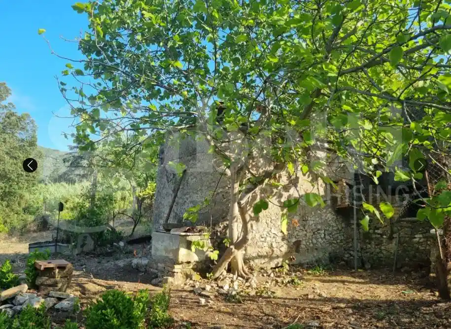 Rustico - Casale in vendita a Sant'Oreste