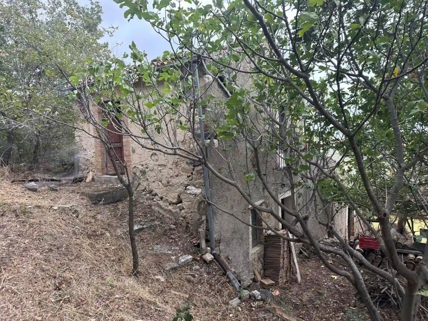 Rustico - Casale - foto 3