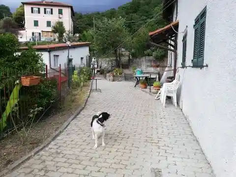 Villa in vendita a Genova