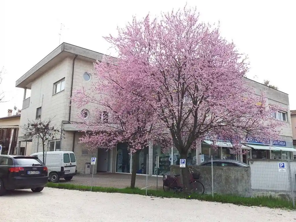 Appartamento in vendita a Ravenna
