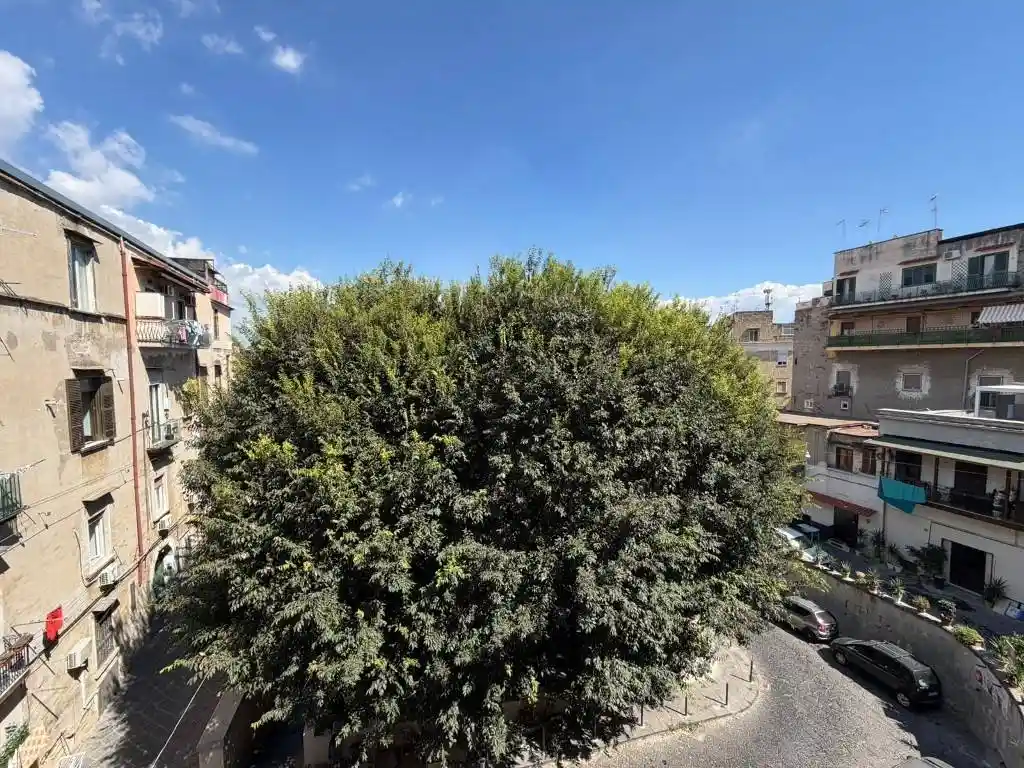 Appartamento in affitto a Napoli