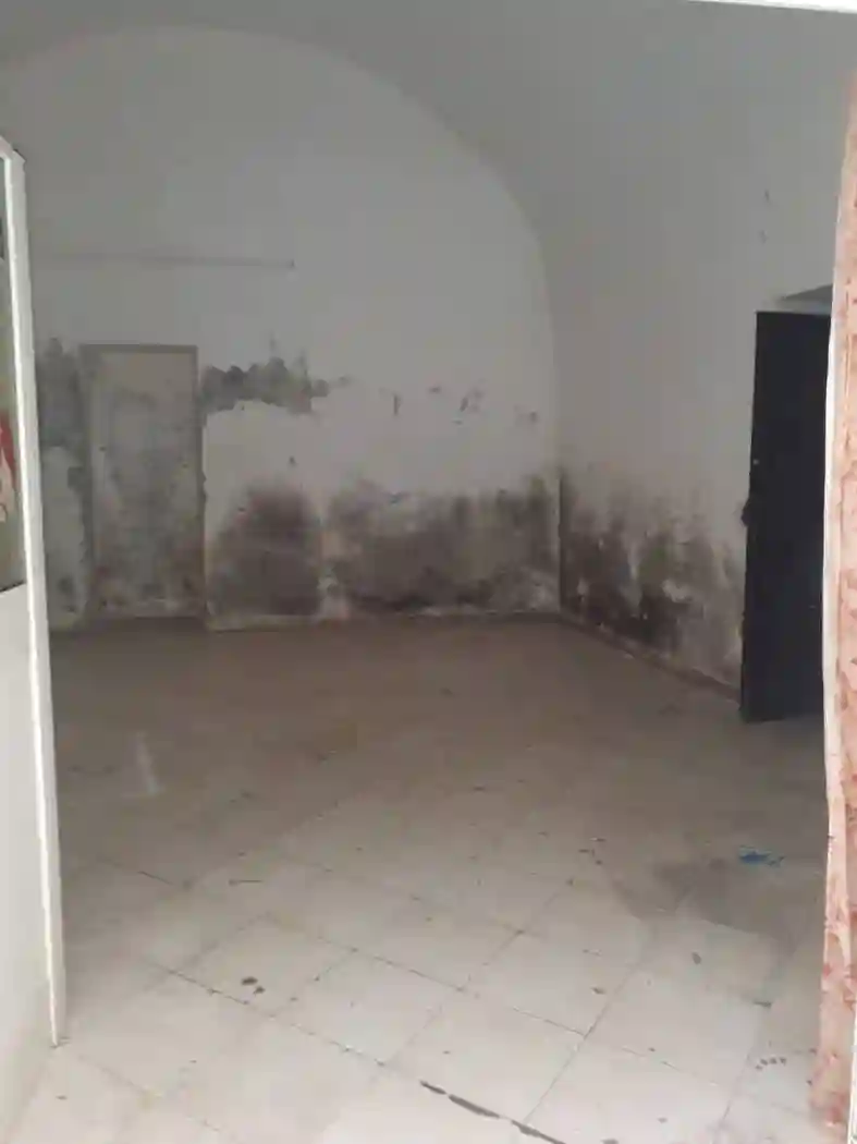 Loft - foto 2