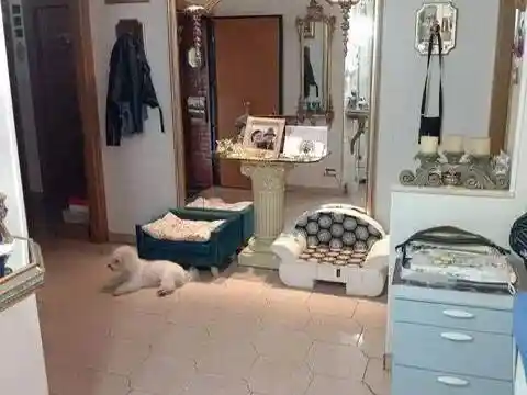 Appartamento in vendita a Prato