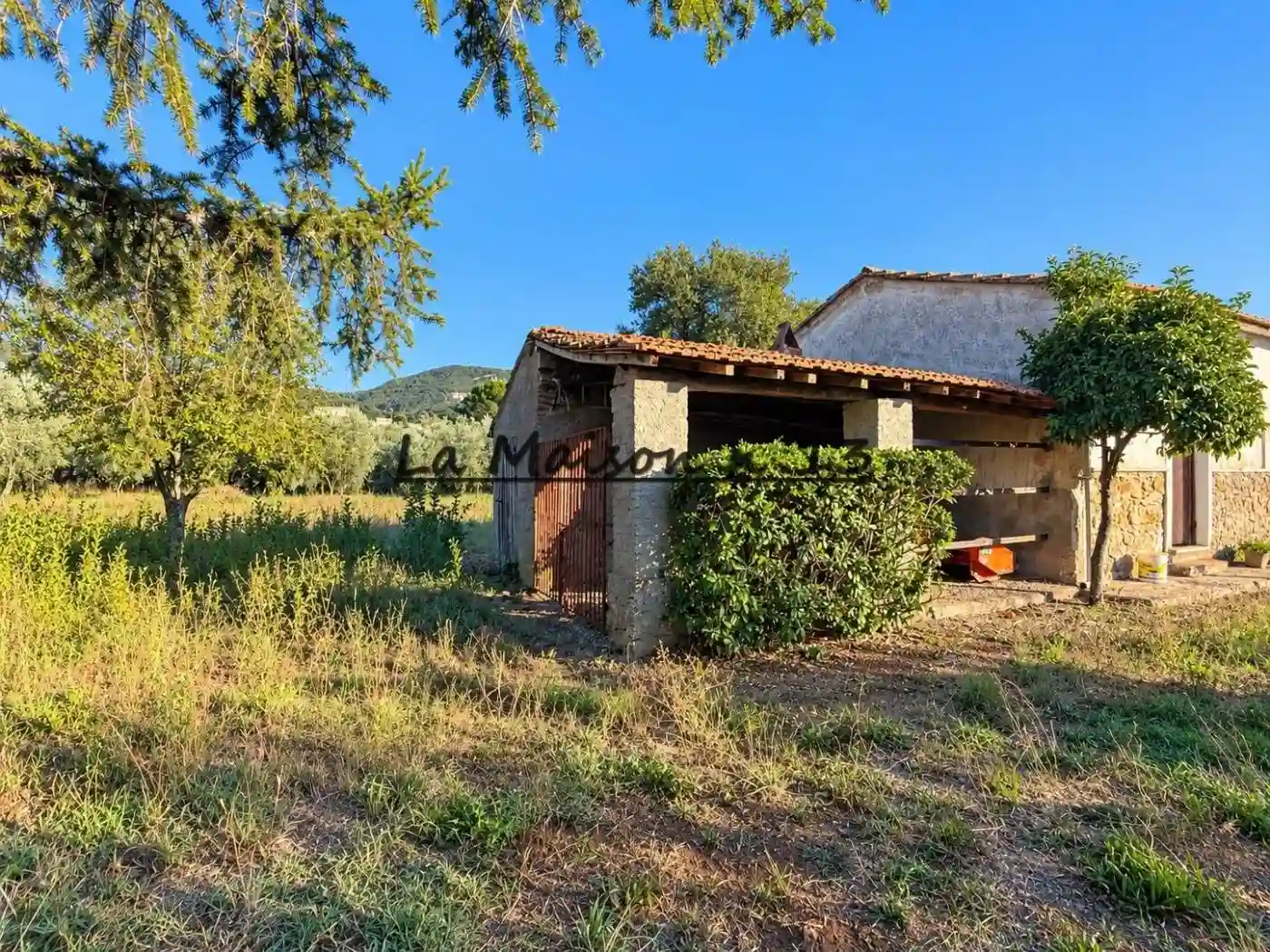 Rustico - Casale - foto 4