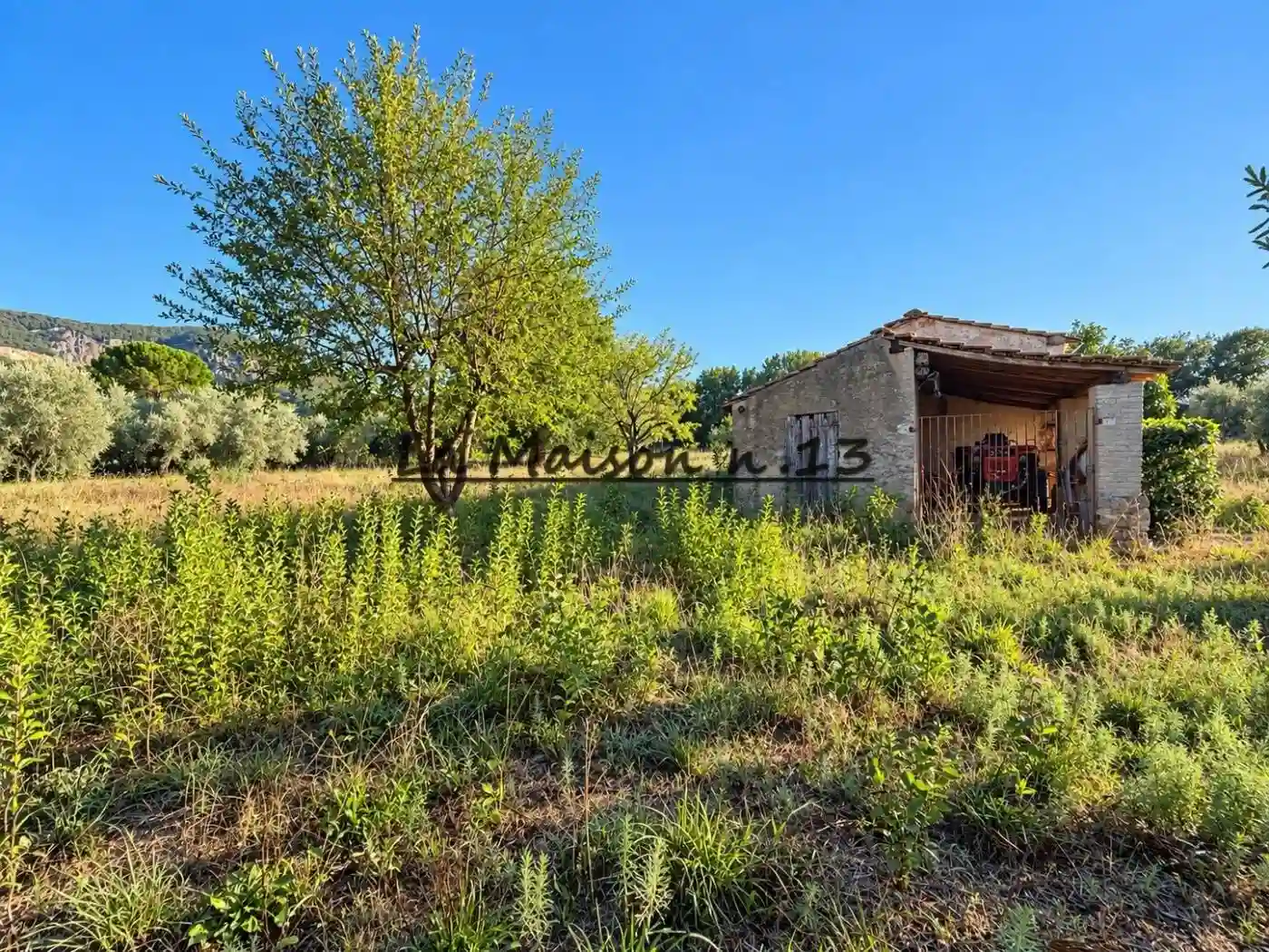 Rustico - Casale - foto 5