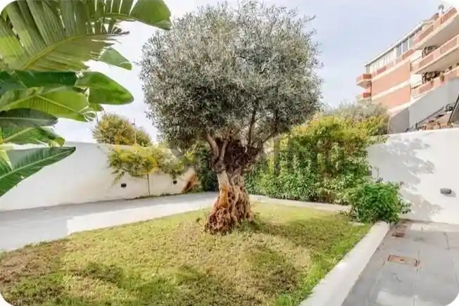Villa in affitto a Fiumicino