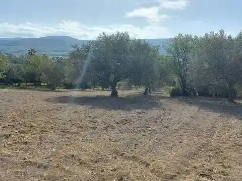 Rustico - Casale in vendita a Comiso