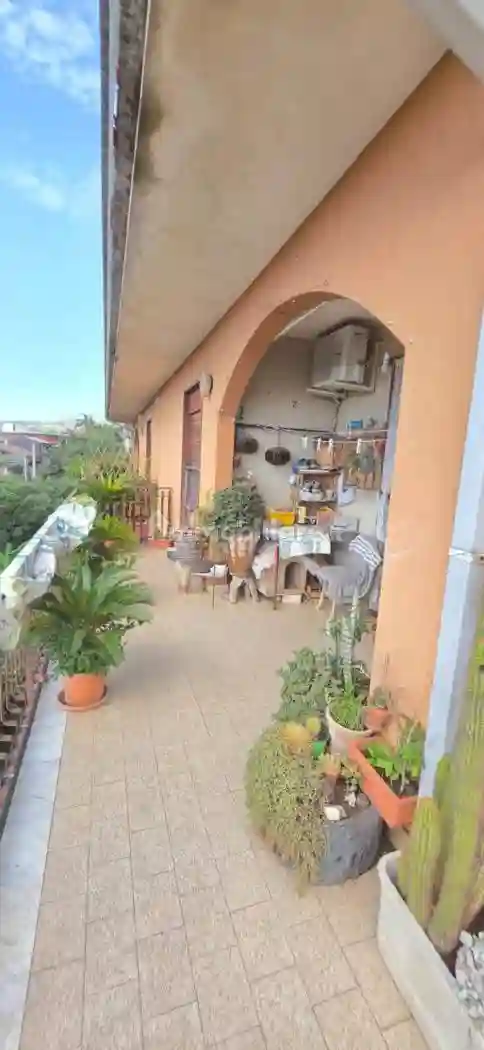 Palazzo - Edificio - foto 5