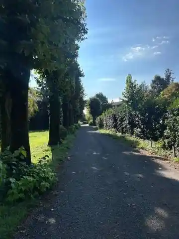 Appartamento in affitto a Varese