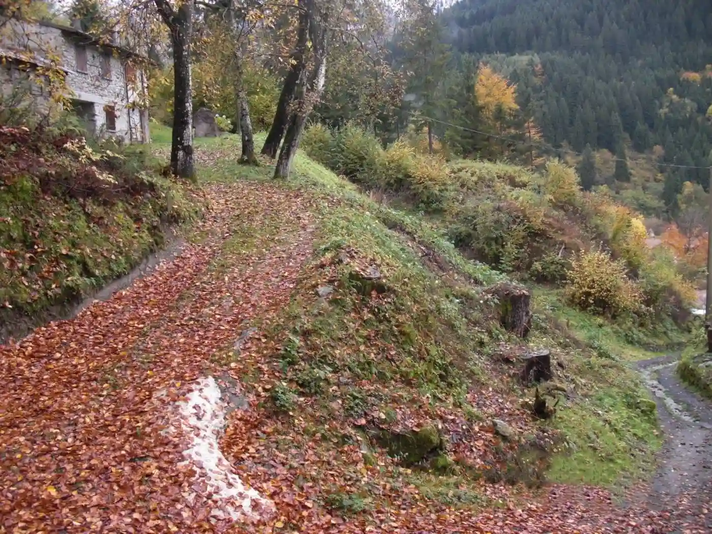 Rustico - Casale - foto 5