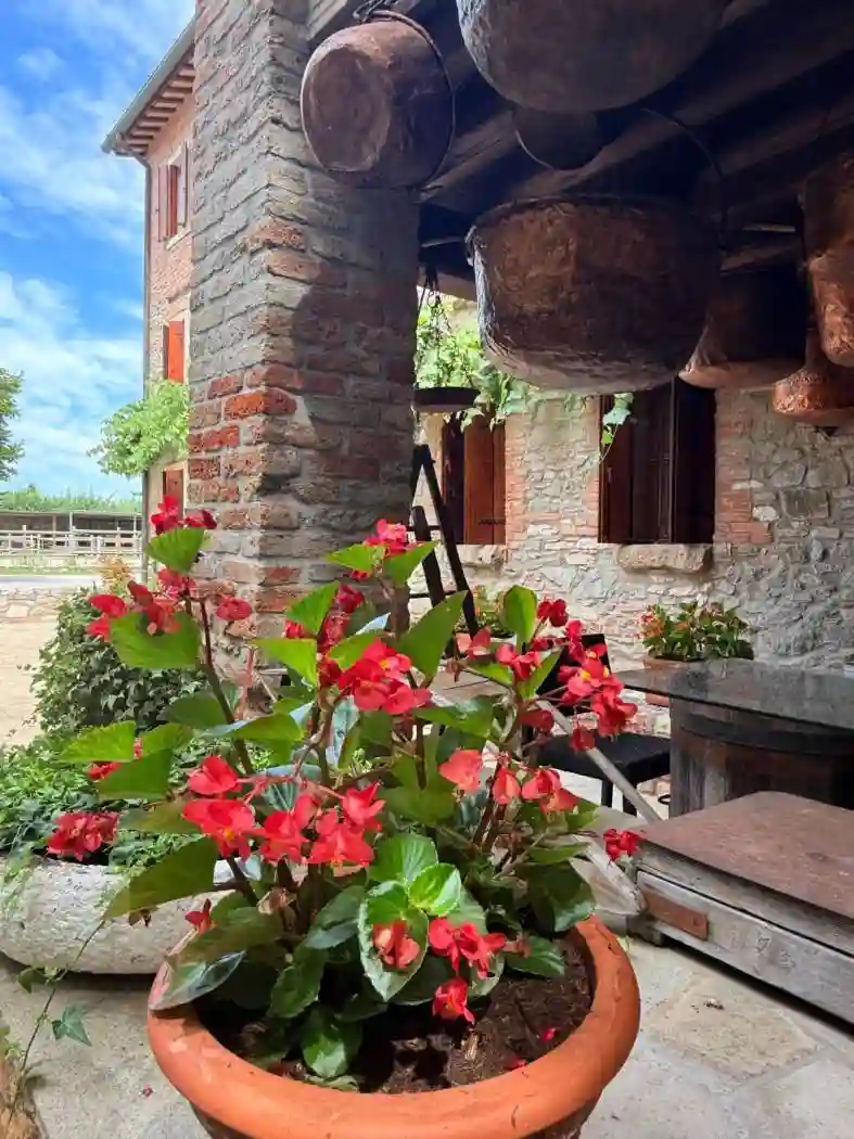 Rustico - Casale - foto 5