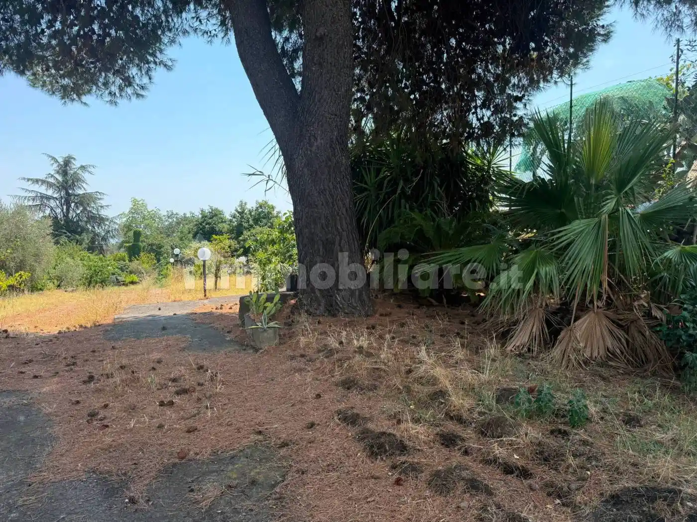 Villa in vendita a Viagrande