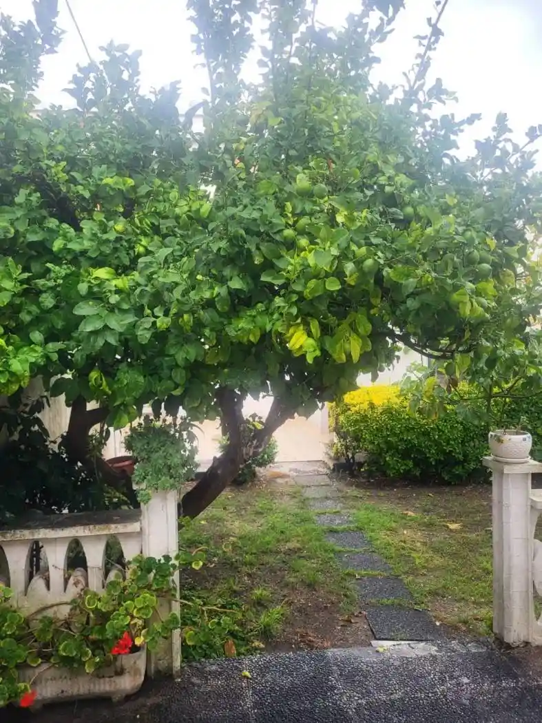Casa indipendente in vendita a Carrara