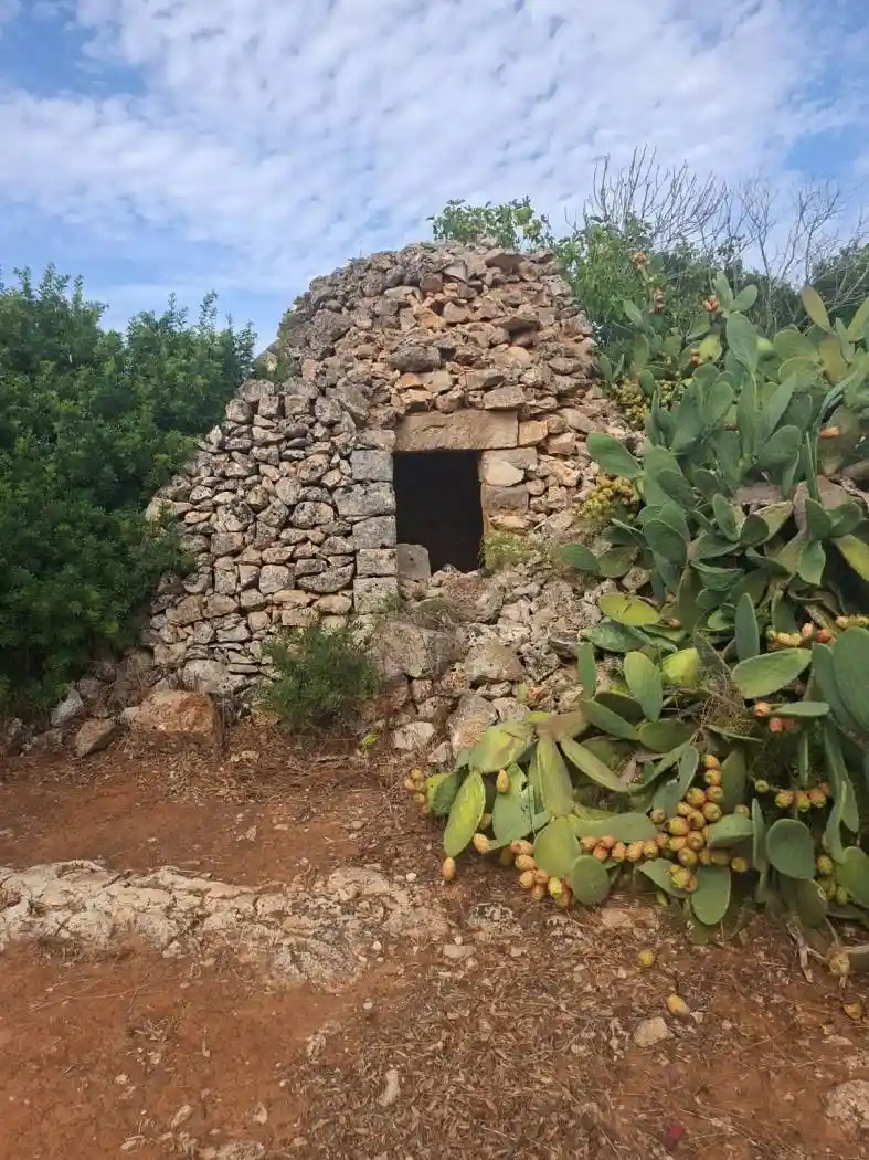Rustico - Casale in vendita a Nardò