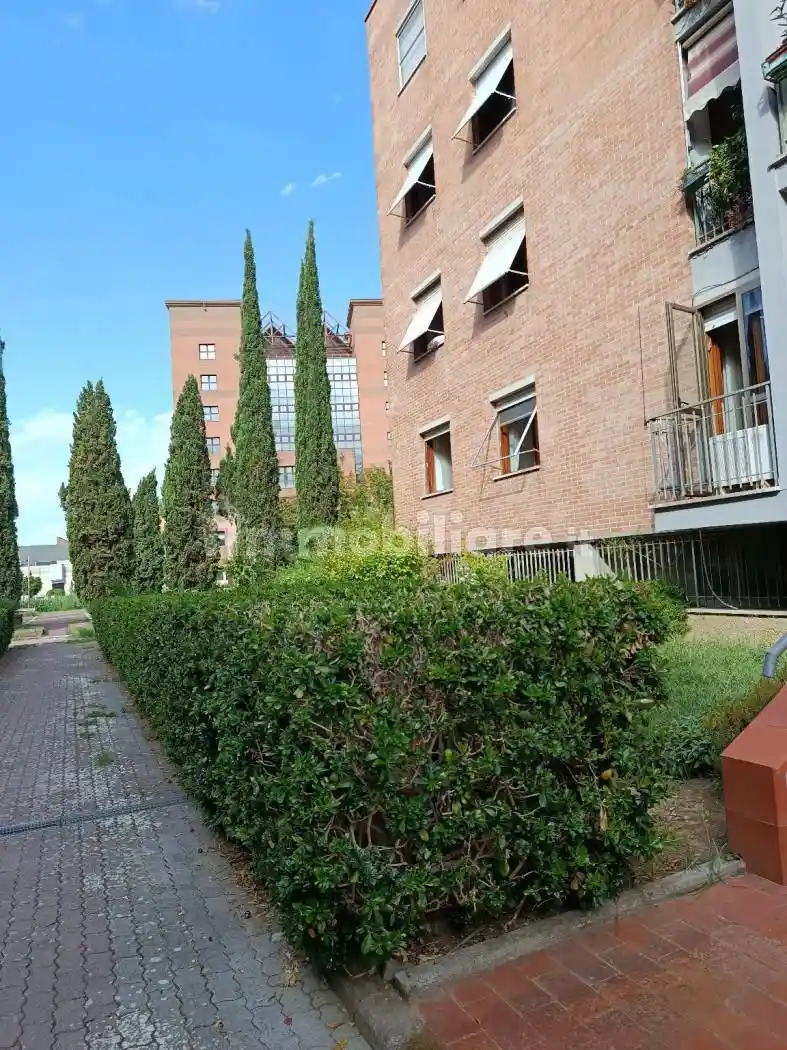 Appartamento in affitto a Pisa