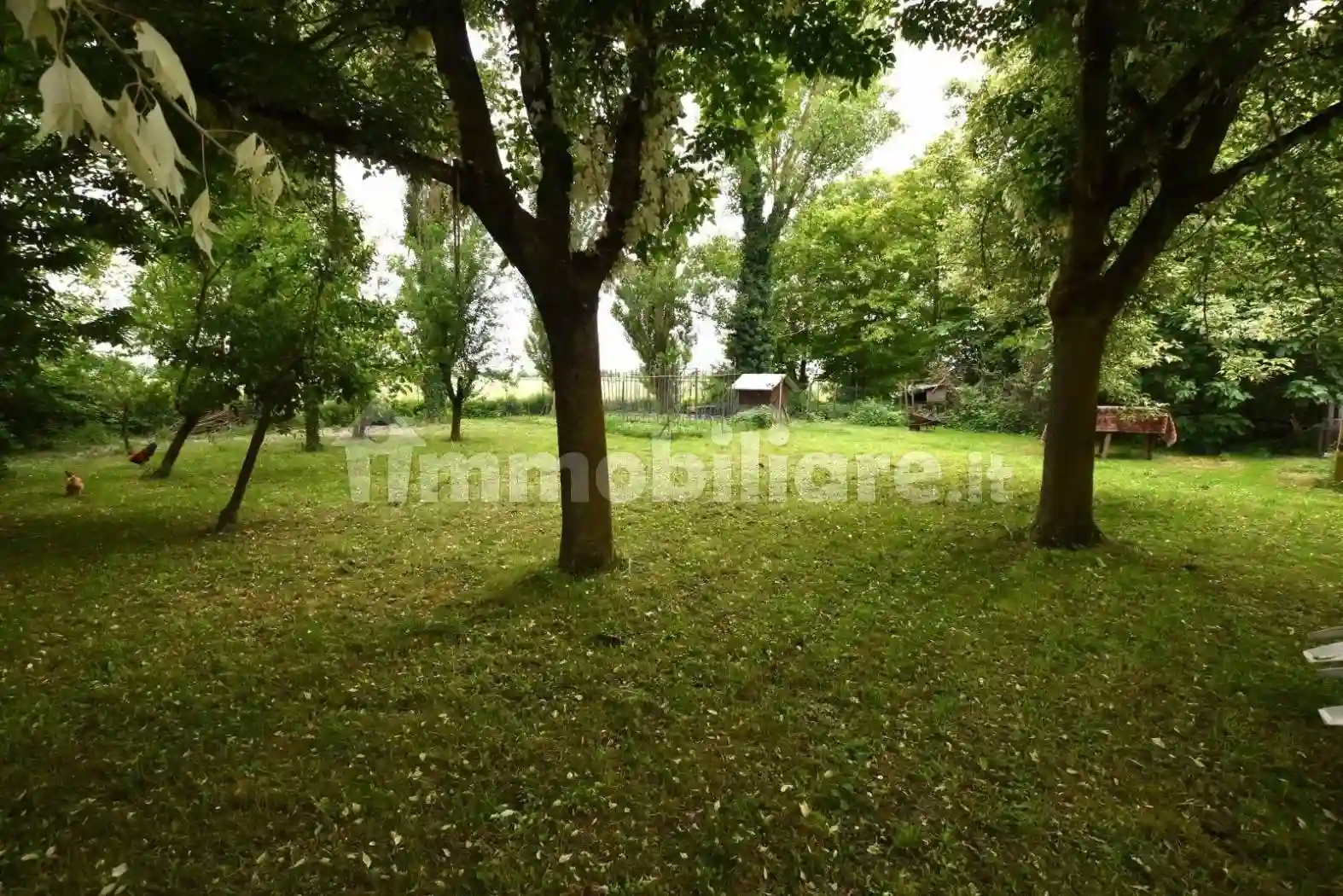 Rustico - Casale - foto 4