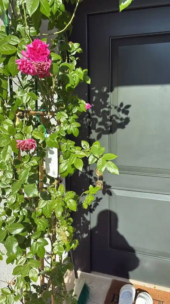 Casa indipendente in vendita a Padova