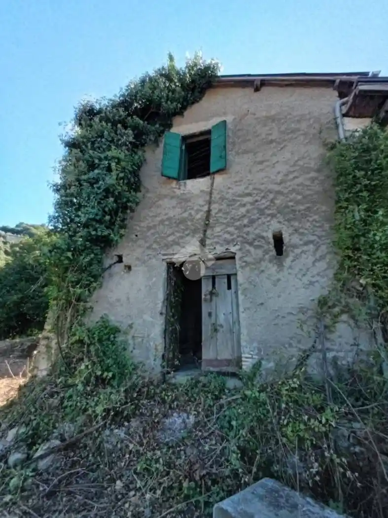 Casa indipendente in vendita a Olevano Romano