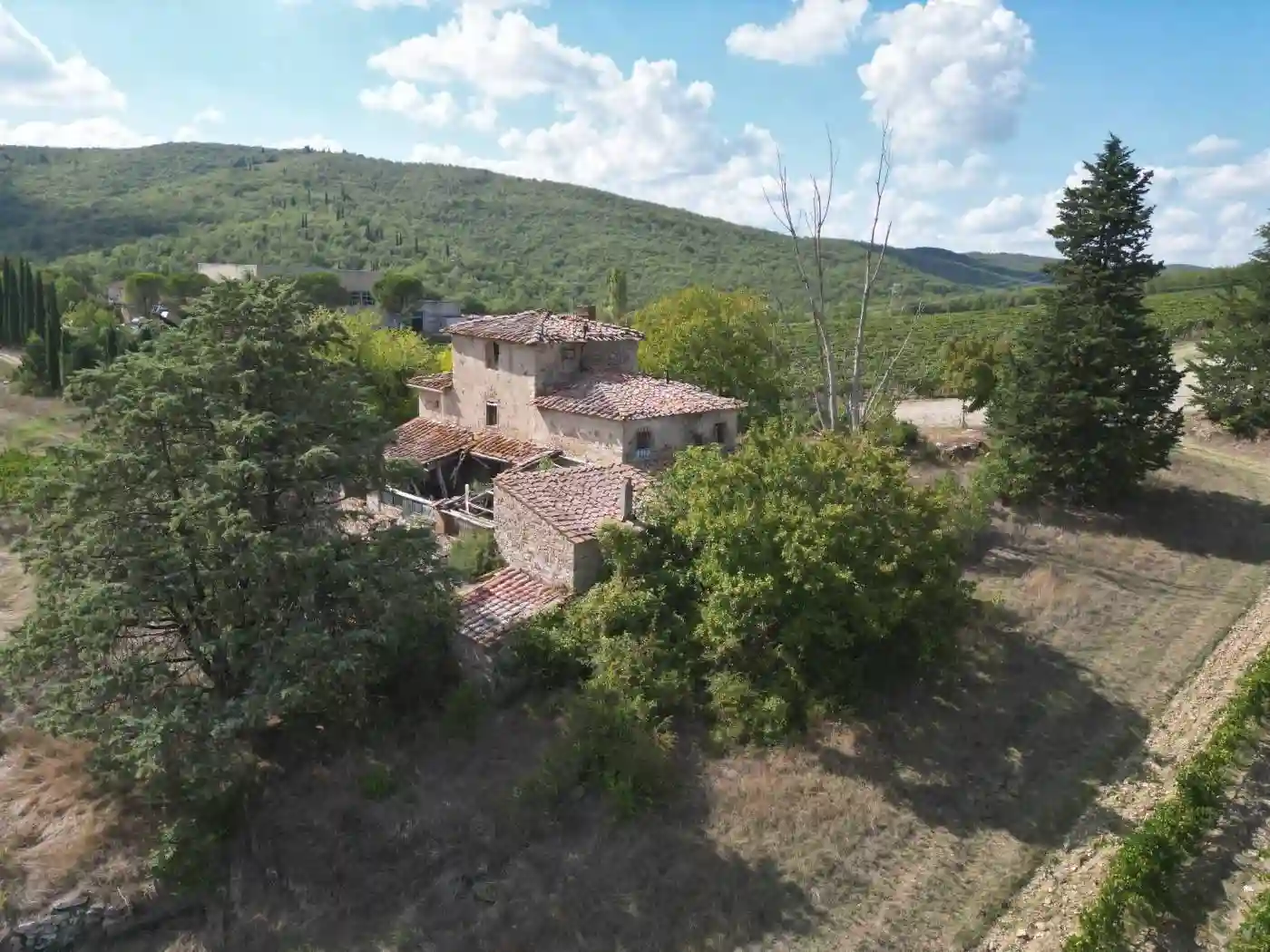 Rustico - Casale - foto 4