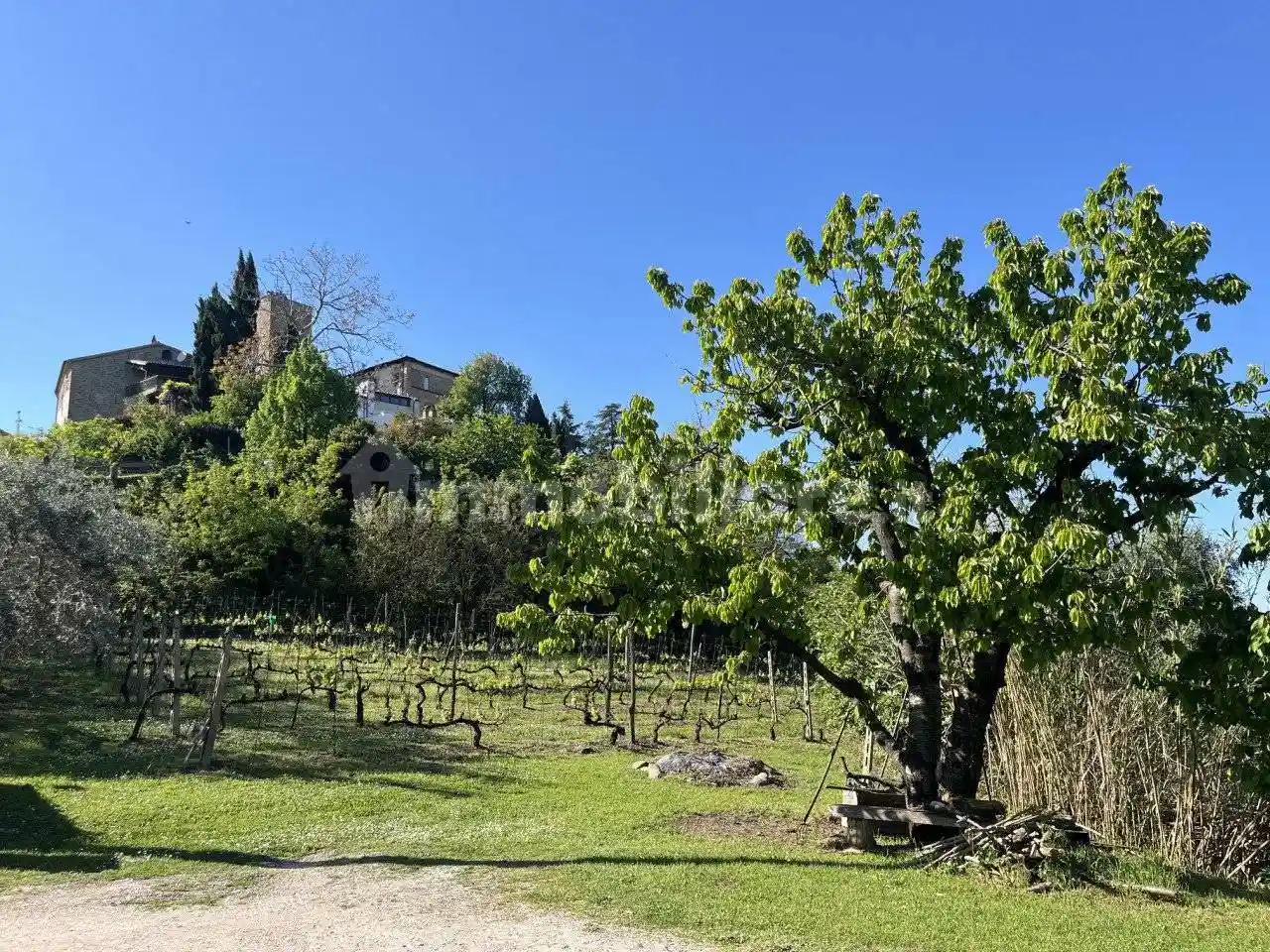 Villa in vendita a Roncofreddo