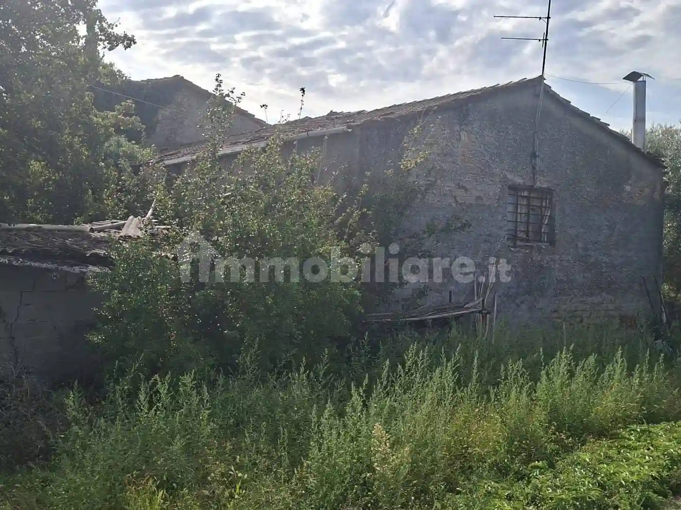 Rustico - Casale - foto 4