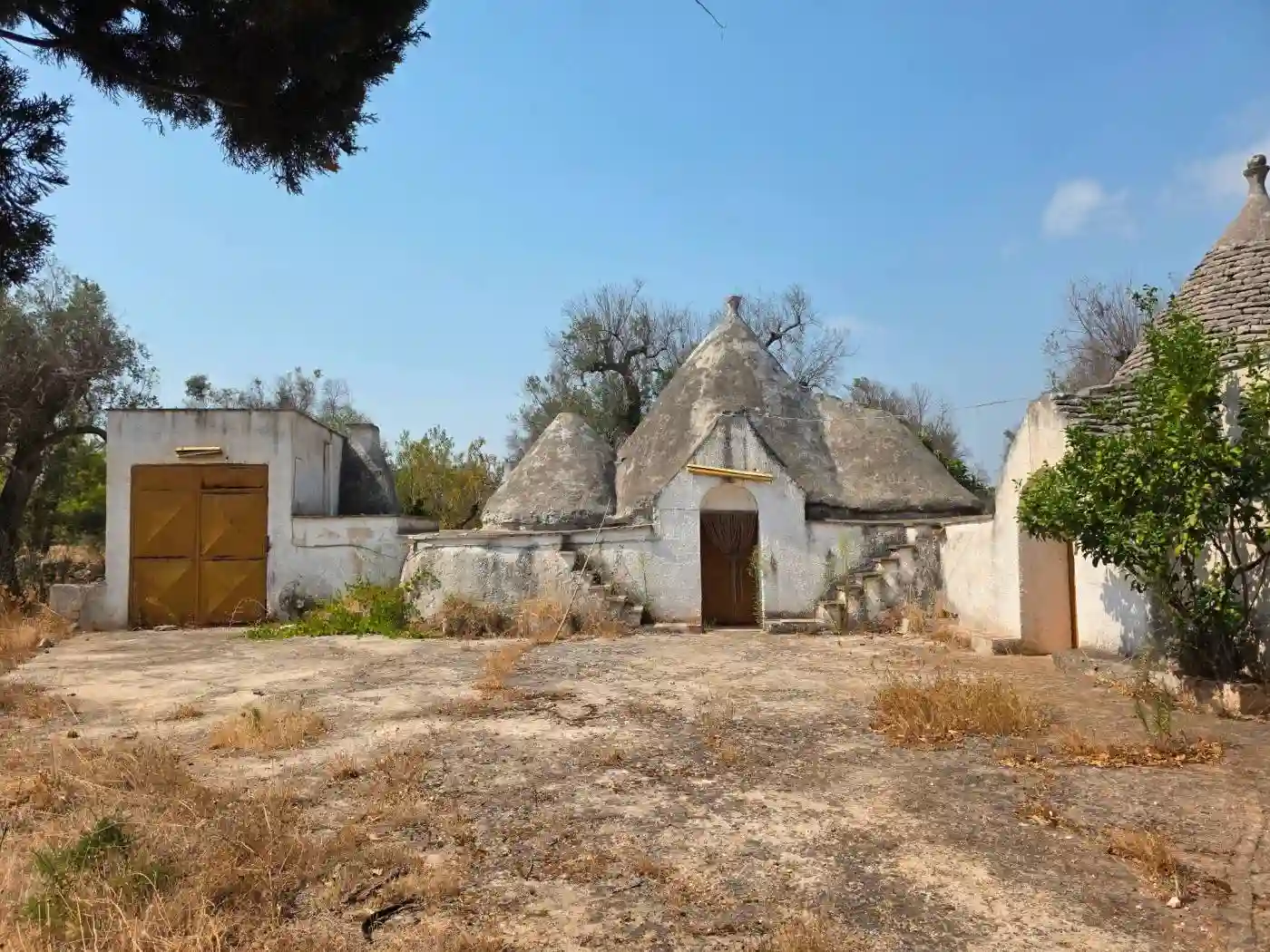 Rustico - Casale - foto 5