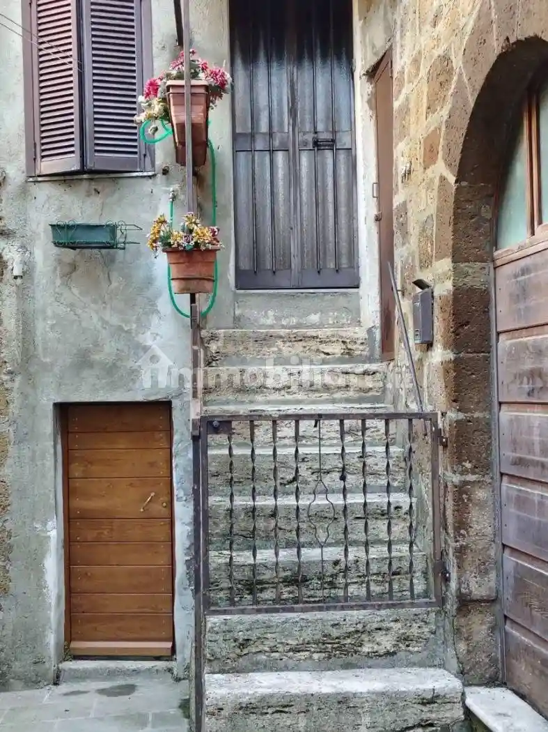 Appartamento in vendita a Pitigliano