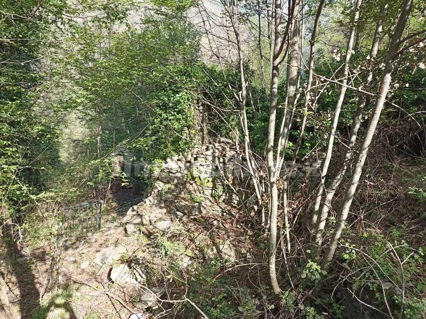 Rustico - Casale in vendita a Rapallo