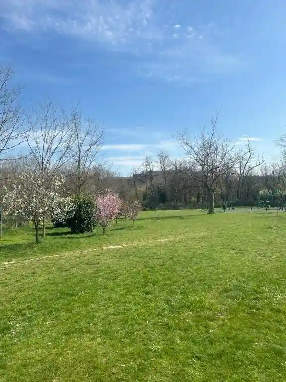 Villa in vendita a Piacenza