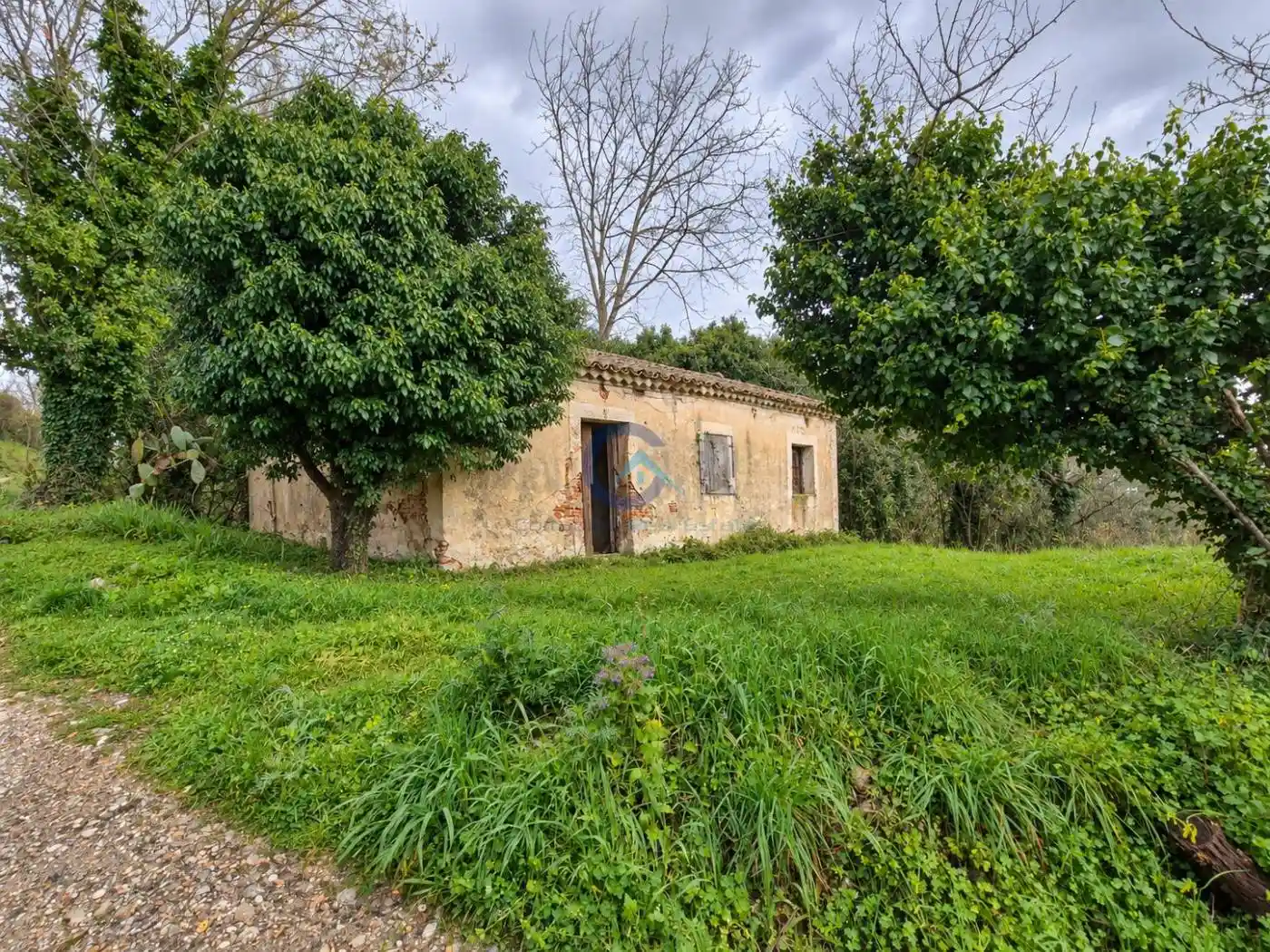 Rustico - Casale in vendita a Borgia