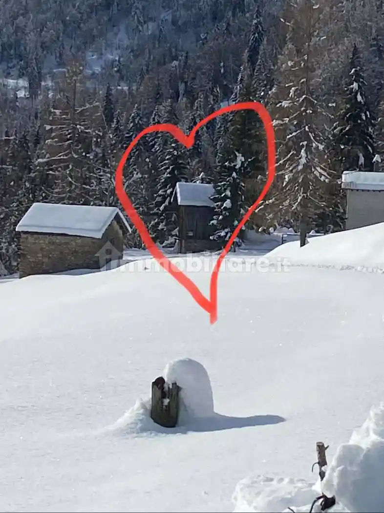 Rustico - Casale in vendita a Gosaldo