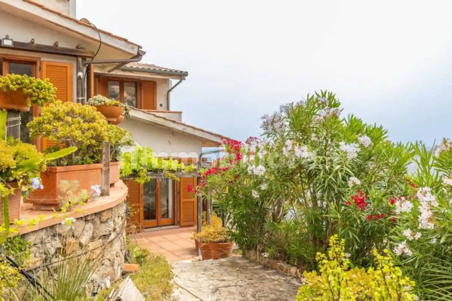 Villa in affitto a Isola del Giglio