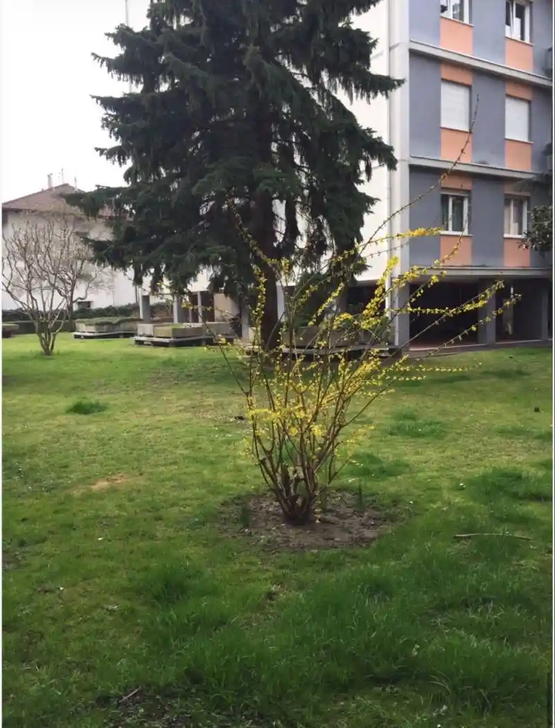 Appartamento in affitto a Bolzano