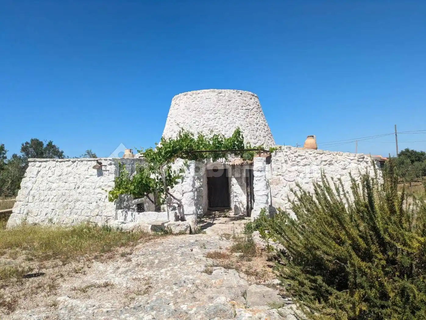 Rustico - Casale in affitto a Salve