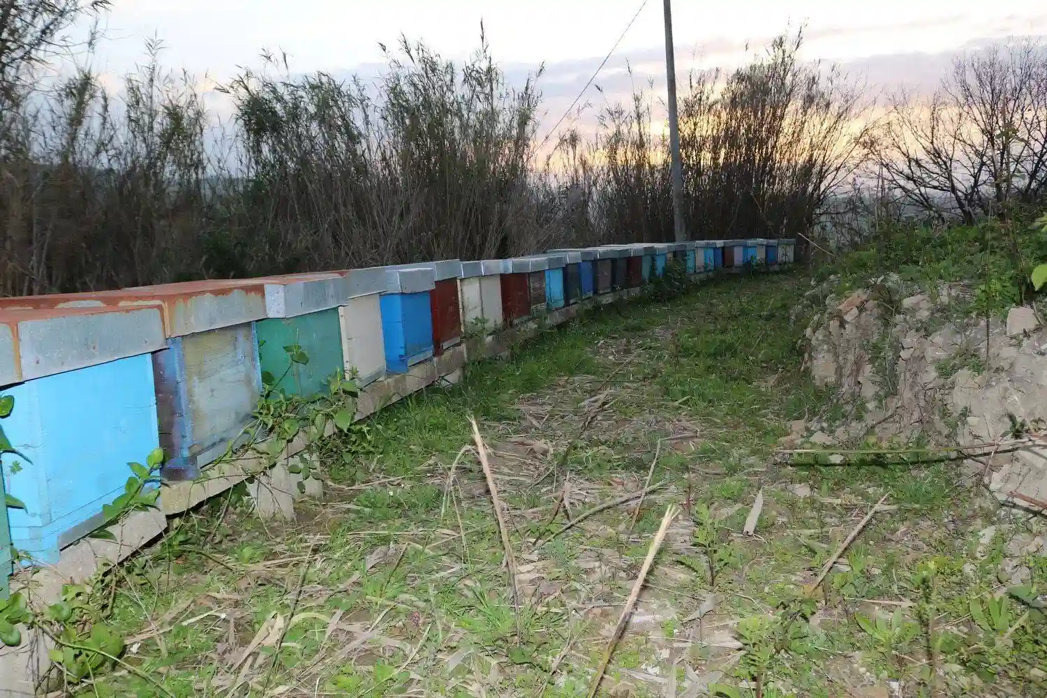 Rustico - Casale - foto 4